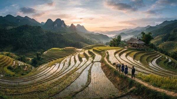 Découvrez un circuit de 15 jours au nord du vietnam sur mesure