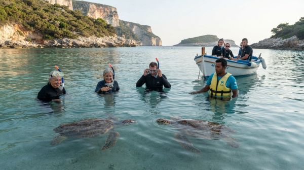 Quelle croisière propose des excursions pour explorer les réserves de tortues en Grèce?
